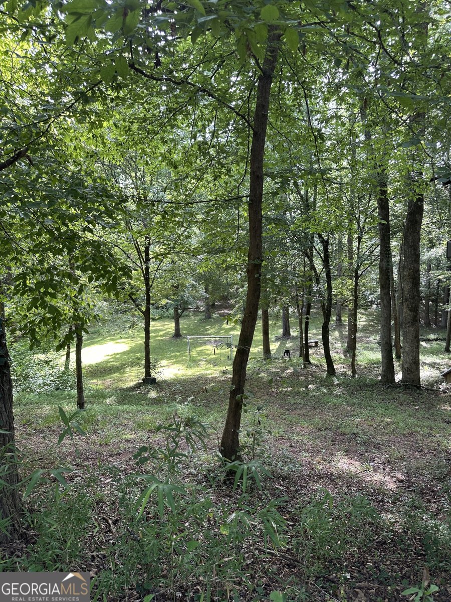 327 Towaliga Trail Forsyth - 22