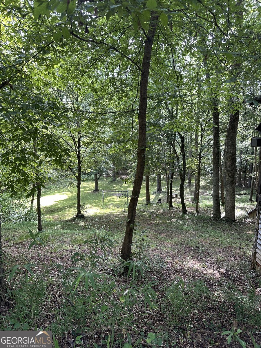 327 Towaliga Trail Forsyth - 23