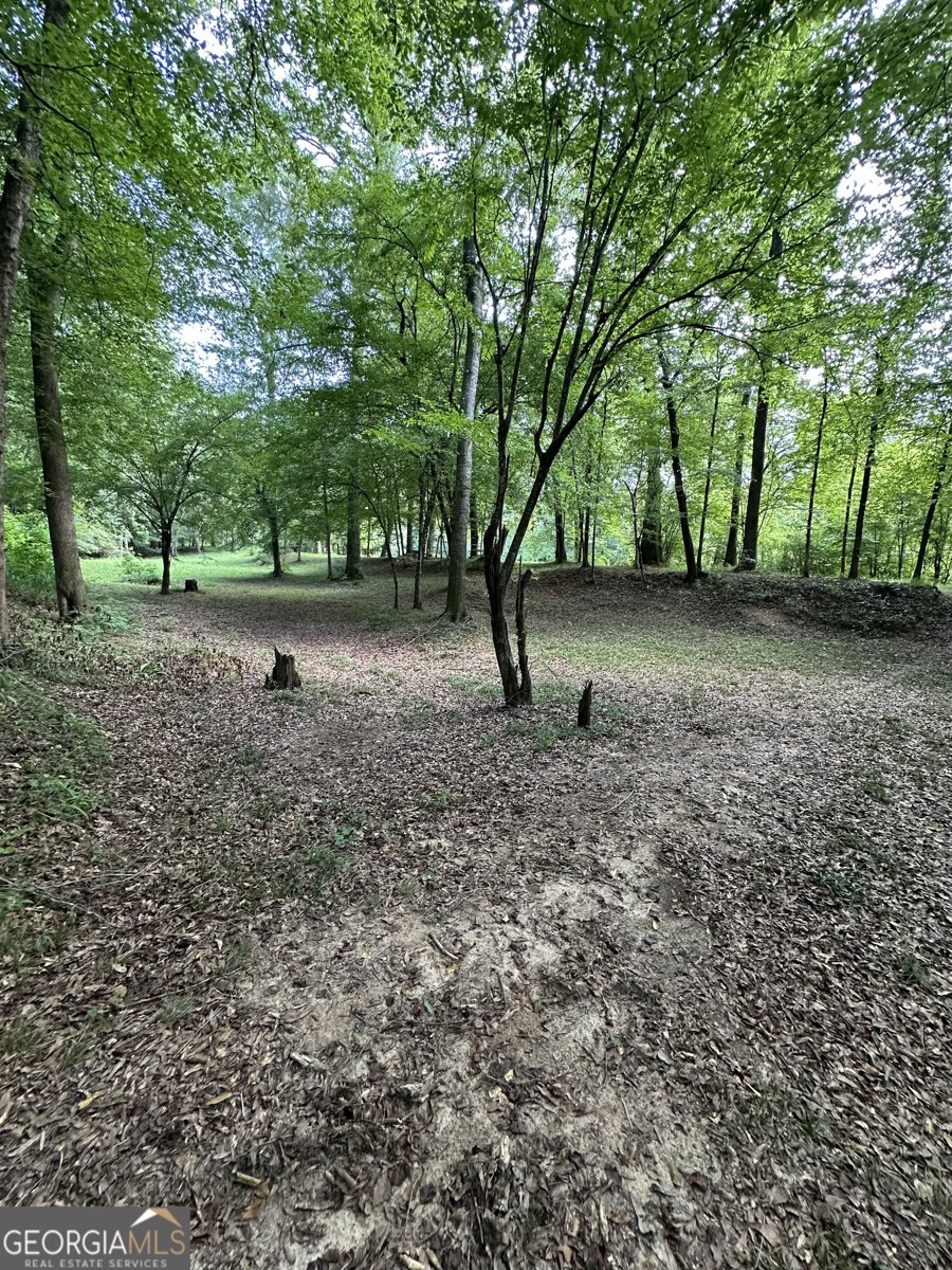 327 Towaliga Trail Forsyth - 27