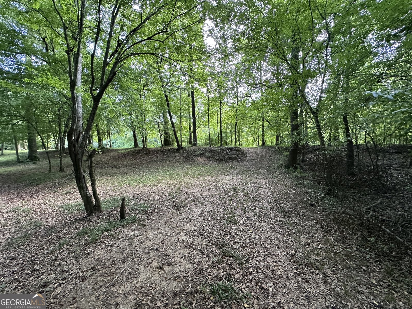327 Towaliga Trail Forsyth - 30