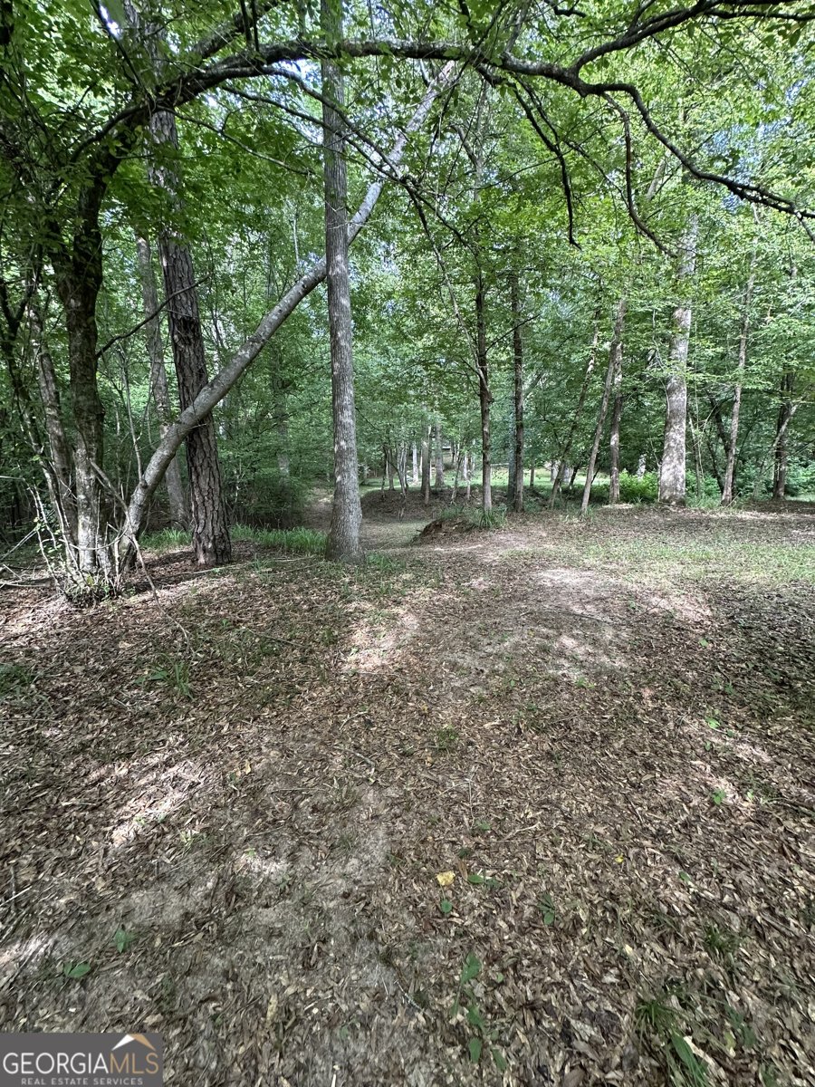 327 Towaliga Trail Forsyth - 34
