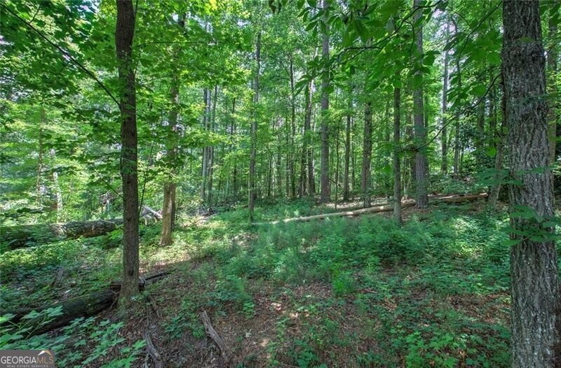 2140 McDuffie Road Austell - 37