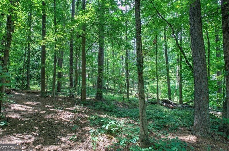 2140 McDuffie Road Austell - 4