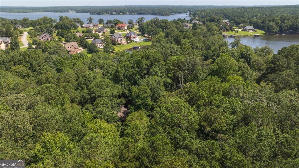 113 Grace Trace Lizella - 17