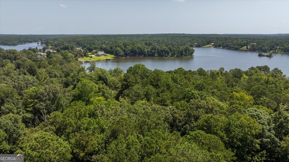 113 Grace Trace Lizella - 36