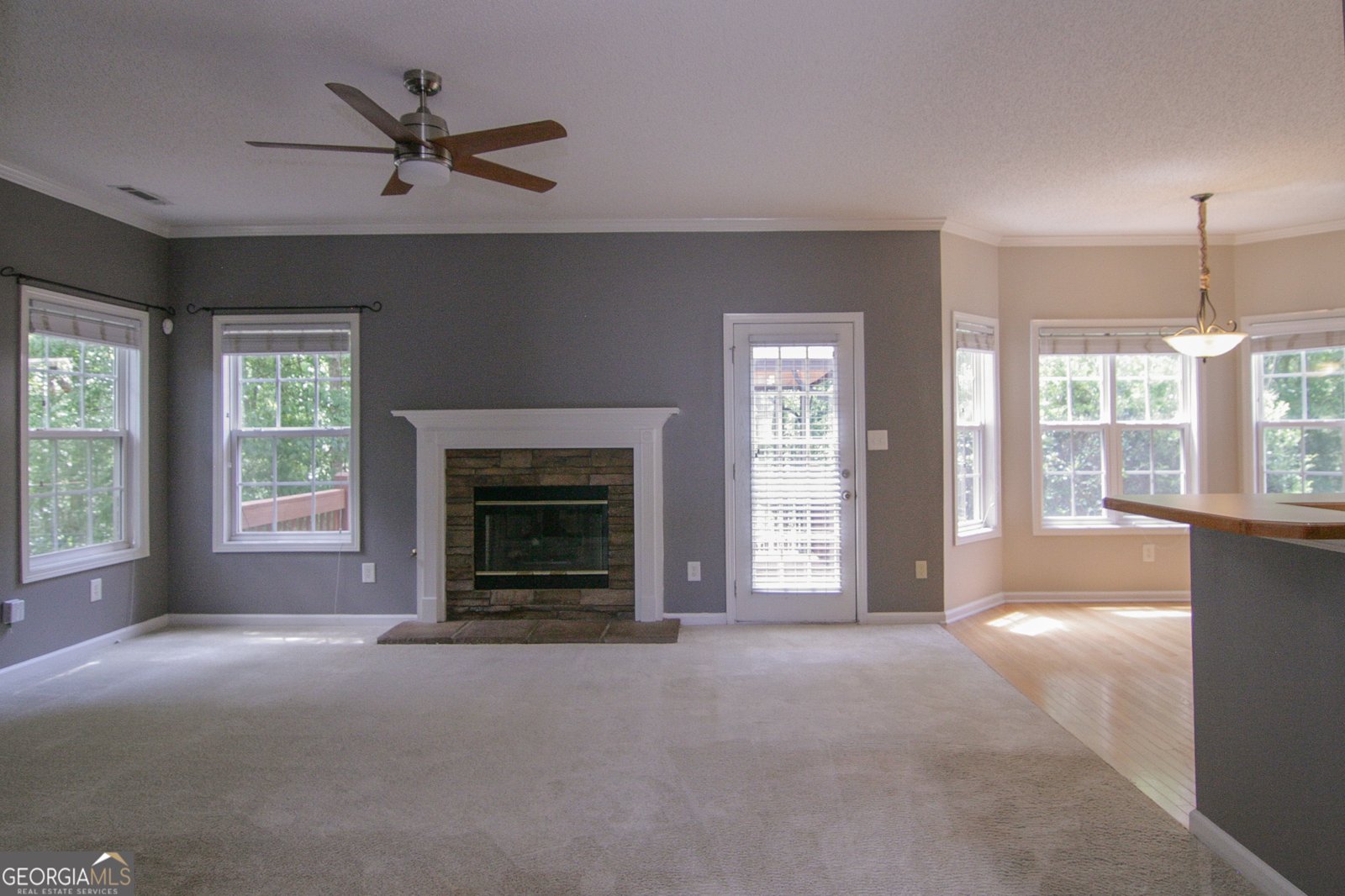 123 Baldwin Court Newnan - 12