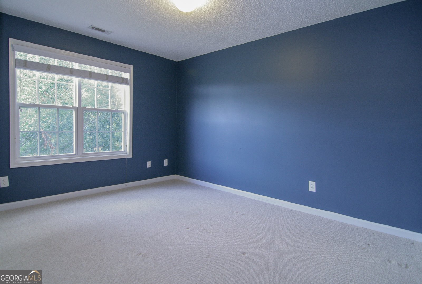123 Baldwin Court Newnan - 27