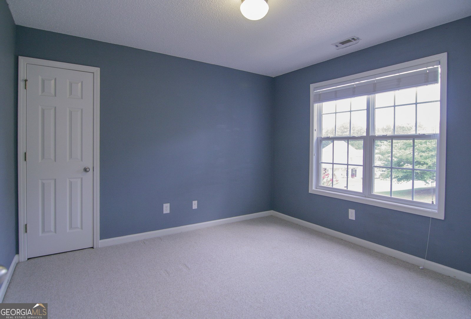 123 Baldwin Court Newnan - 29