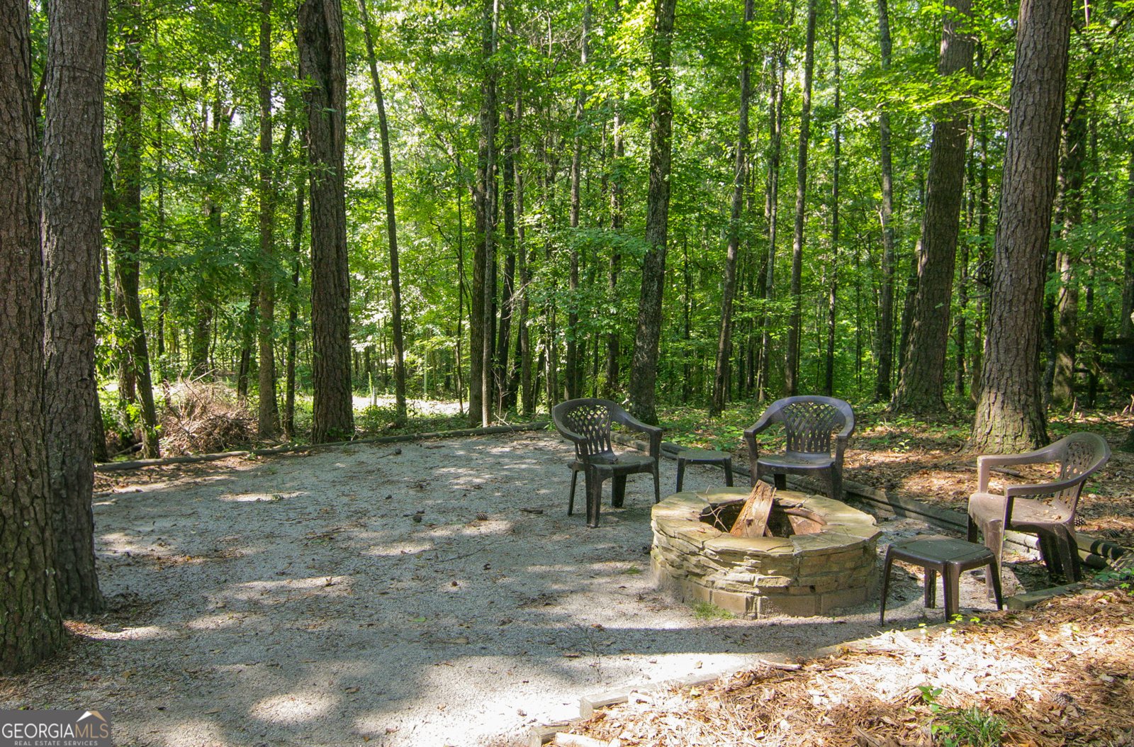 123 Baldwin Court Newnan - 3