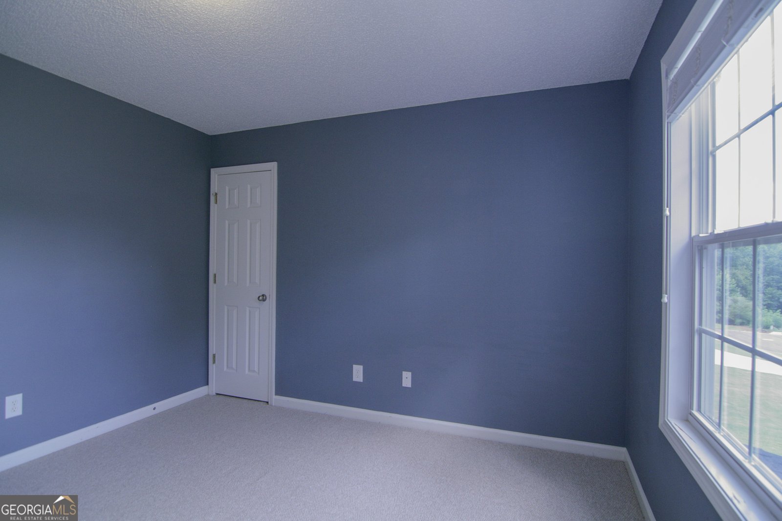 123 Baldwin Court Newnan - 30