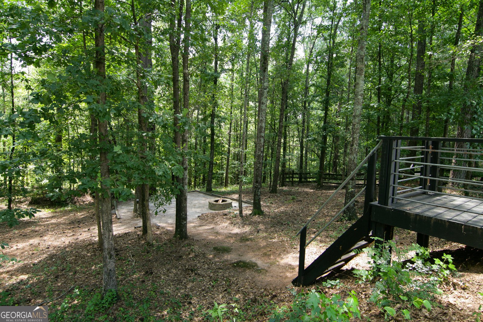 123 Baldwin Court Newnan - 60