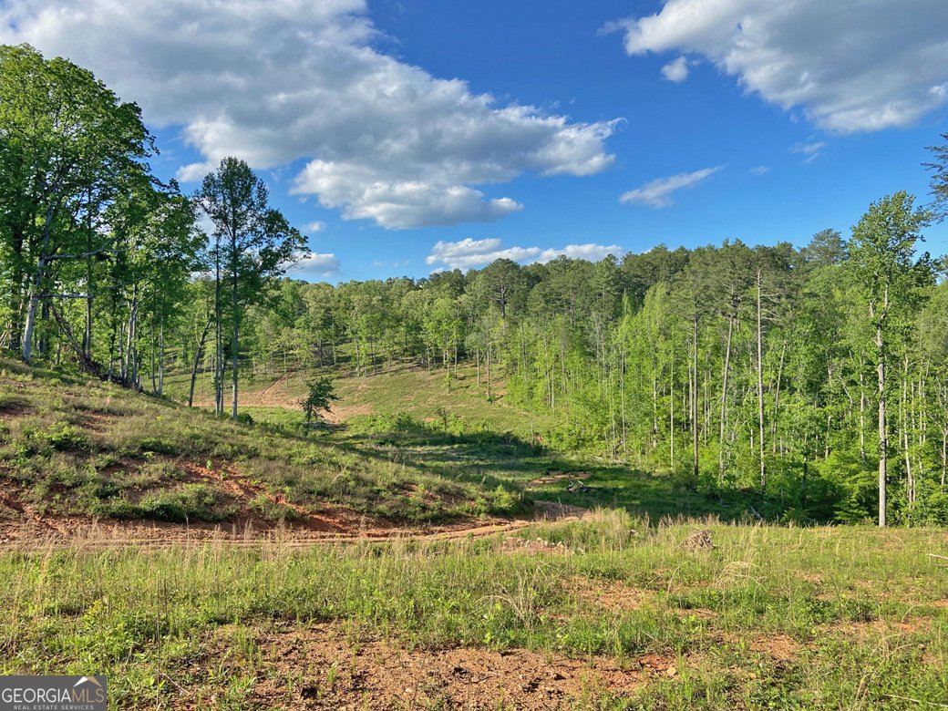 105 Colly Lane Marble Hill - 81