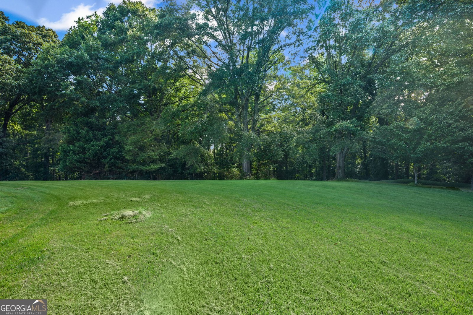 4290 Happy Valley Circle Newnan - 35