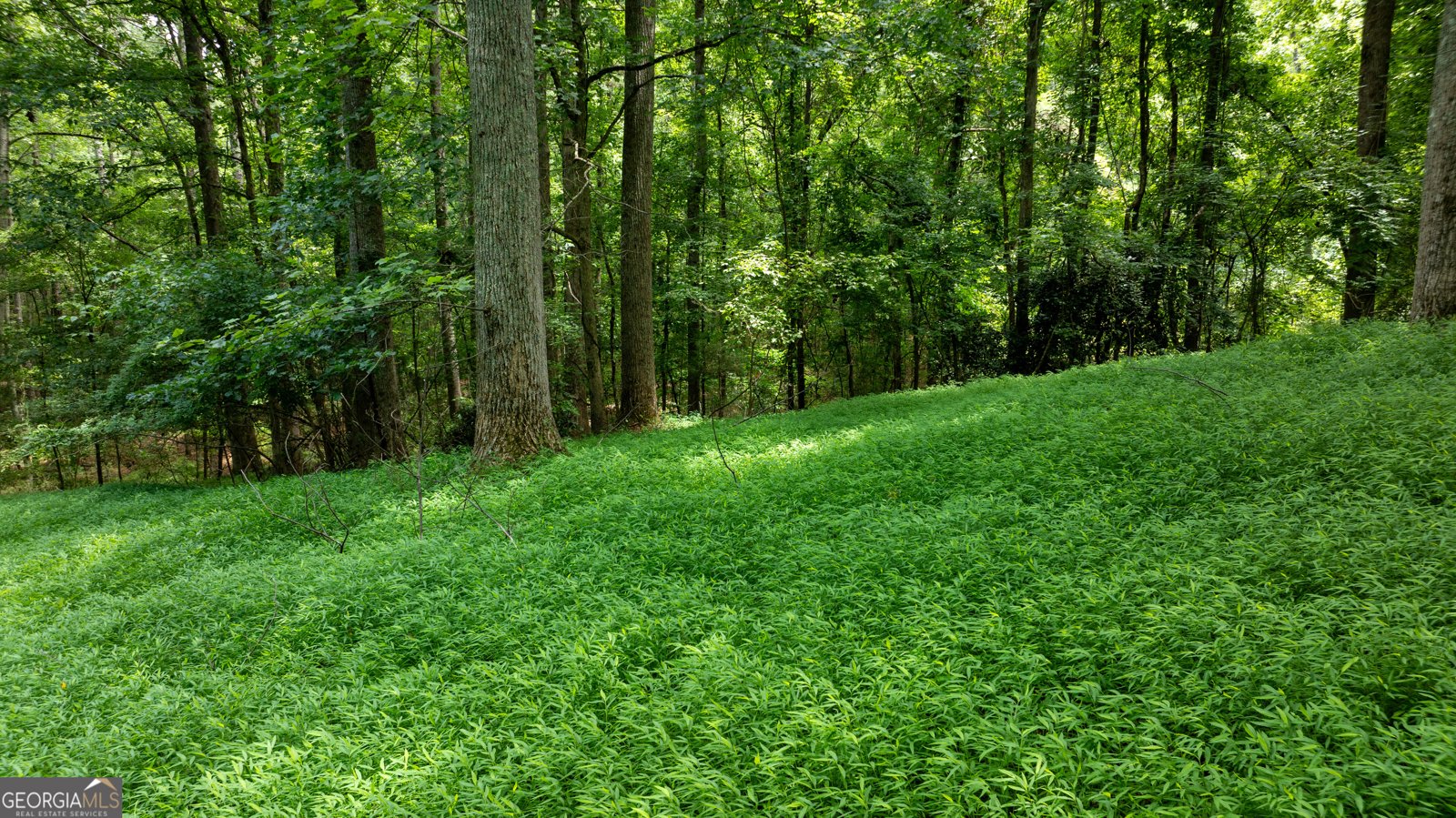 4290 Happy Valley Circle Newnan - 38