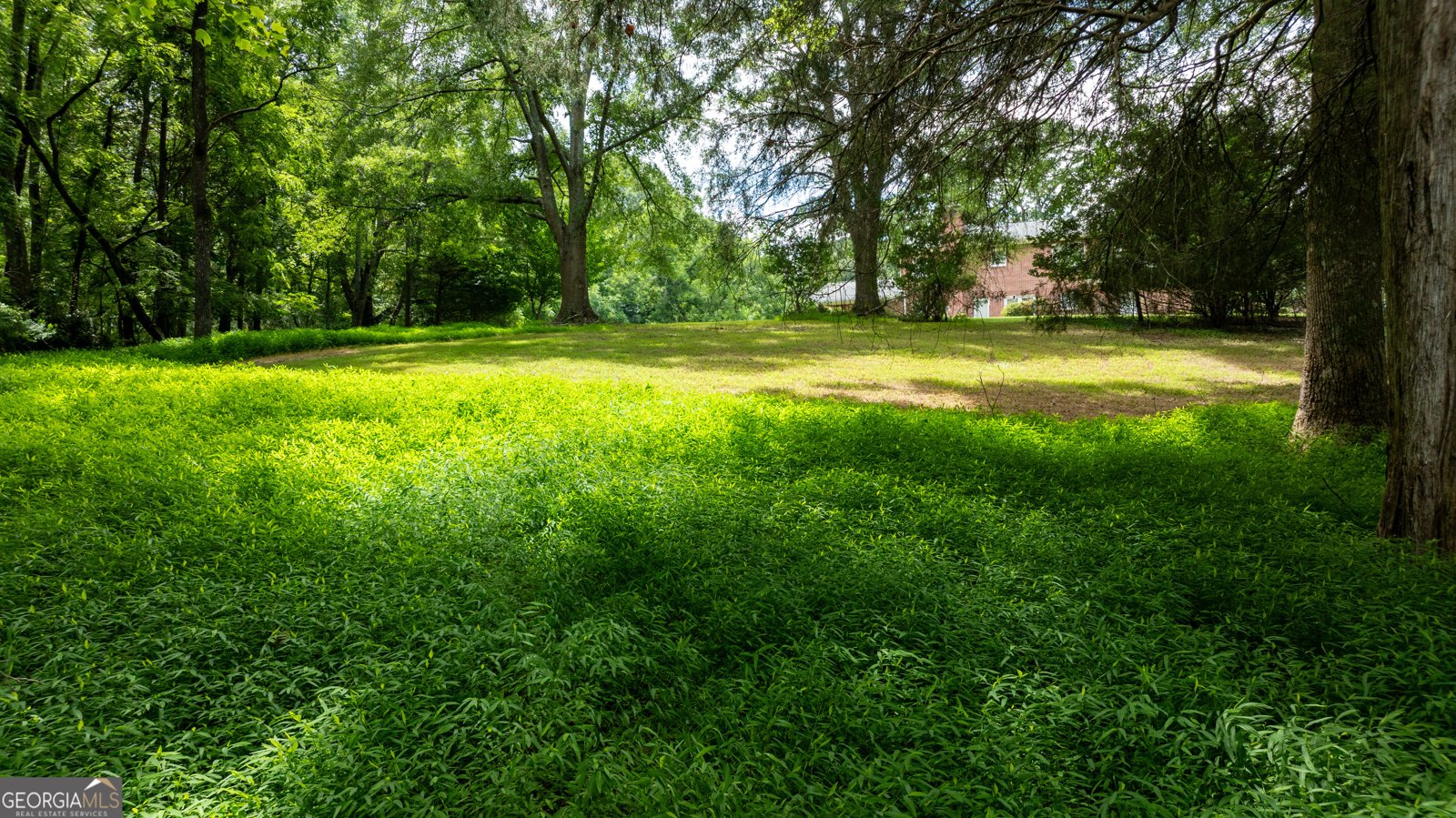 4290 Happy Valley Circle Newnan - 39