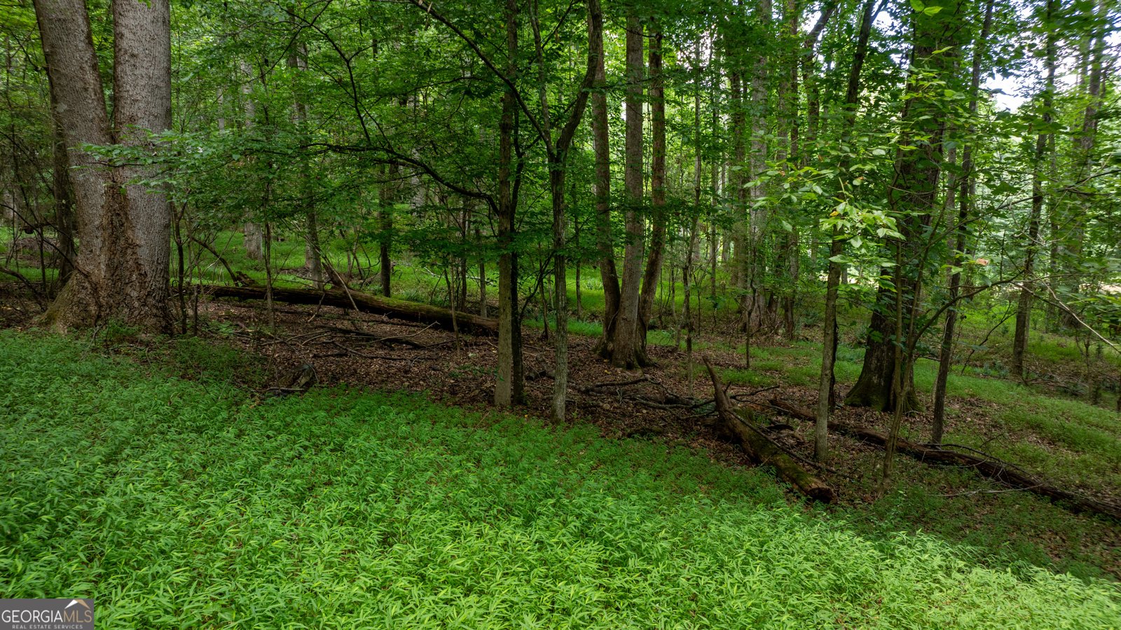 4290 Happy Valley Circle Newnan - 58