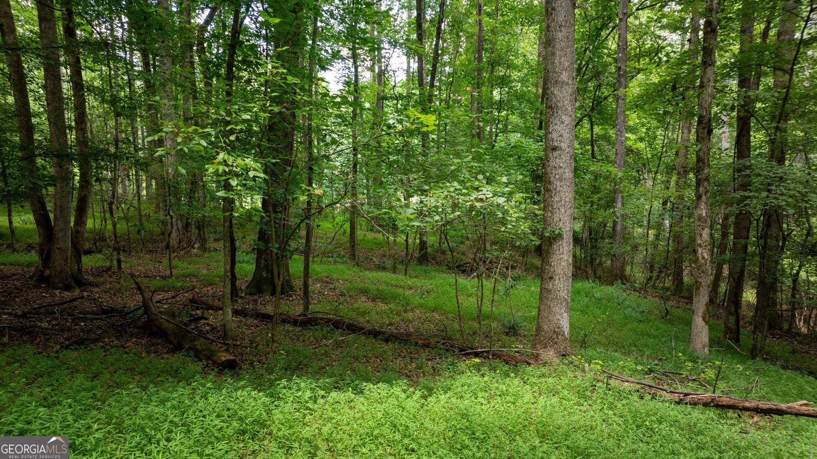 4290 Happy Valley Circle Newnan - 59