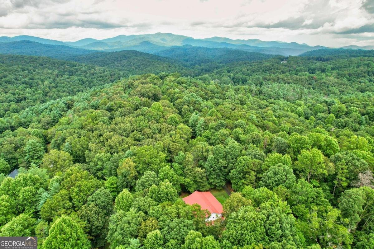 44 D Court Ellijay - 8