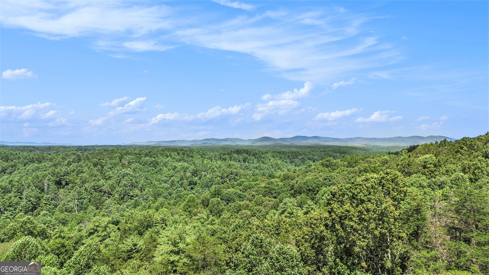 221 Laurel Circle Dahlonega - 25