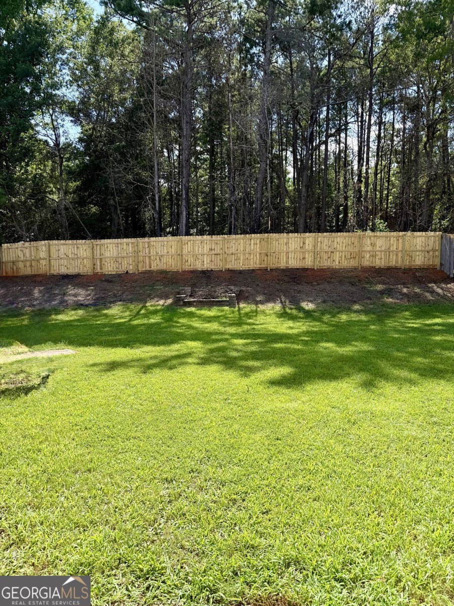 146 Vinings Drive McDonough - 12