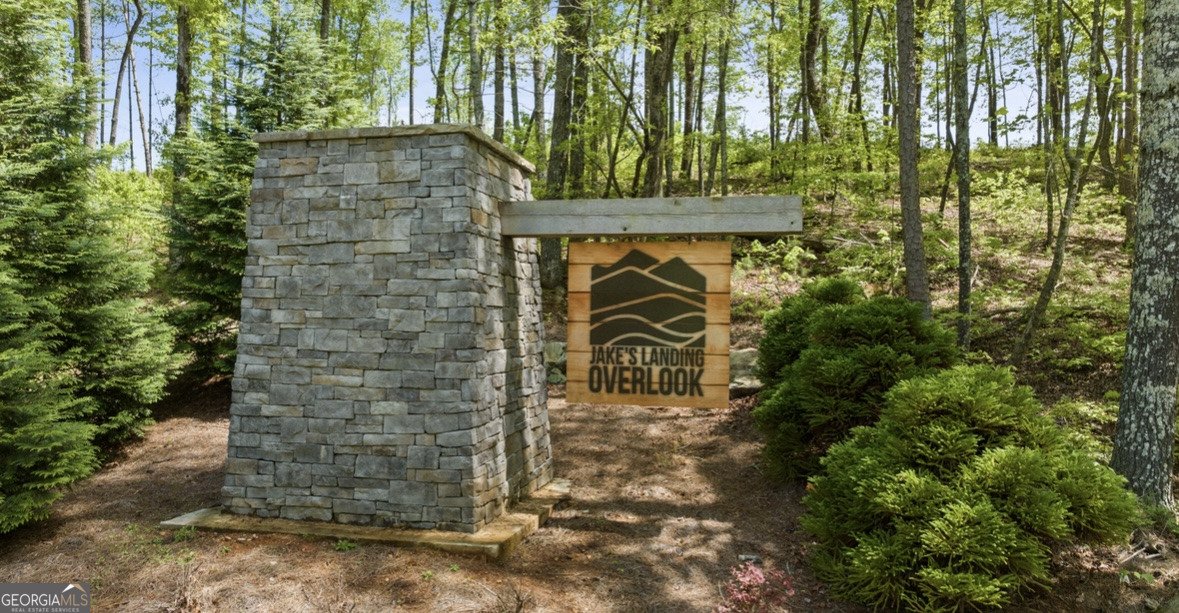 234 Jakes Landing Way Ellijay - 53