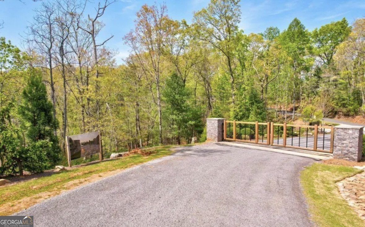 234 Jakes Landing Way Ellijay - 54