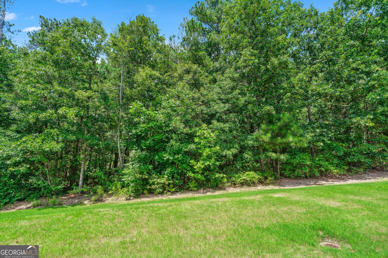 1905 Hamilton Creek Parkway Dacula - 33
