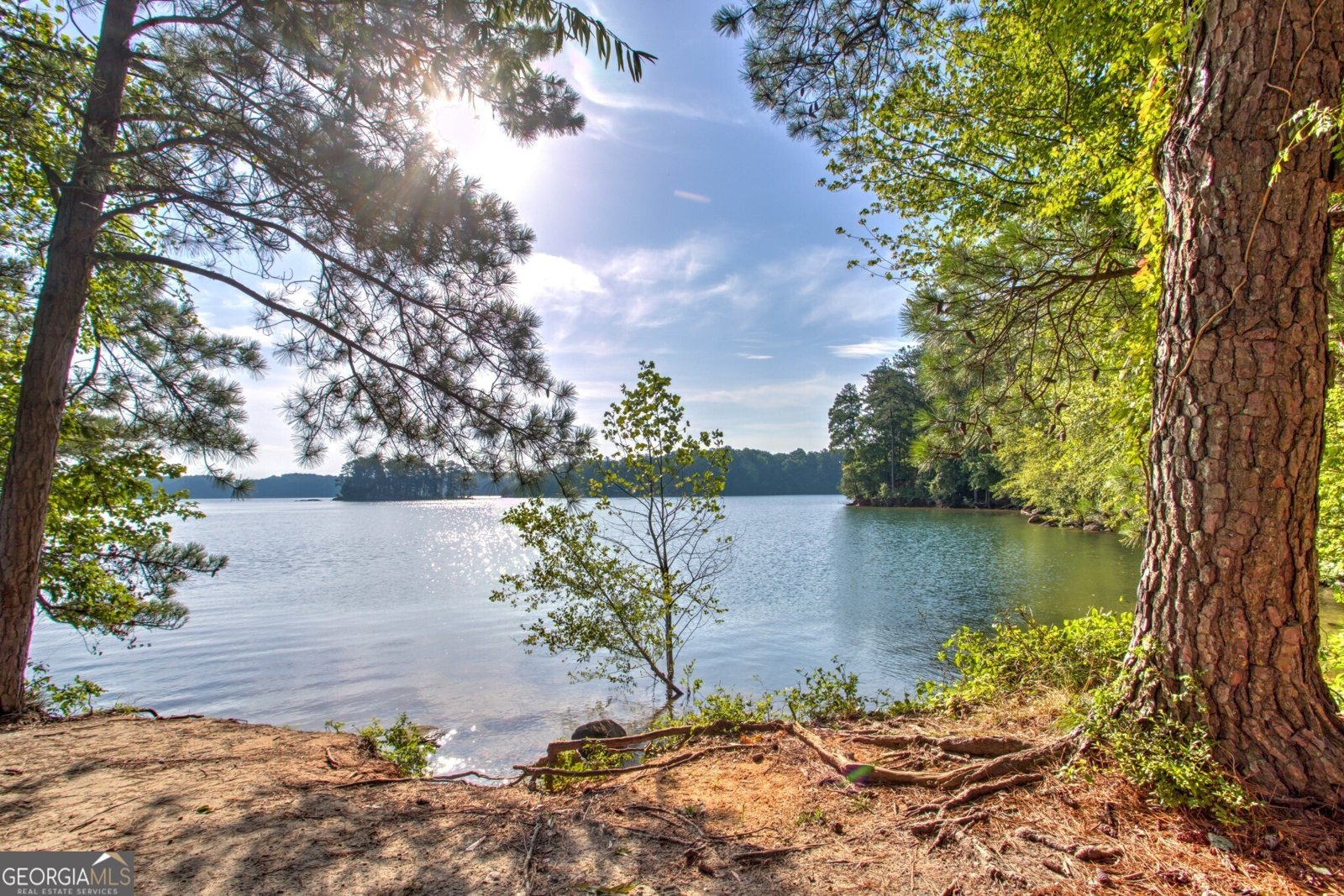 4862 White Street Sugar Hill - 9