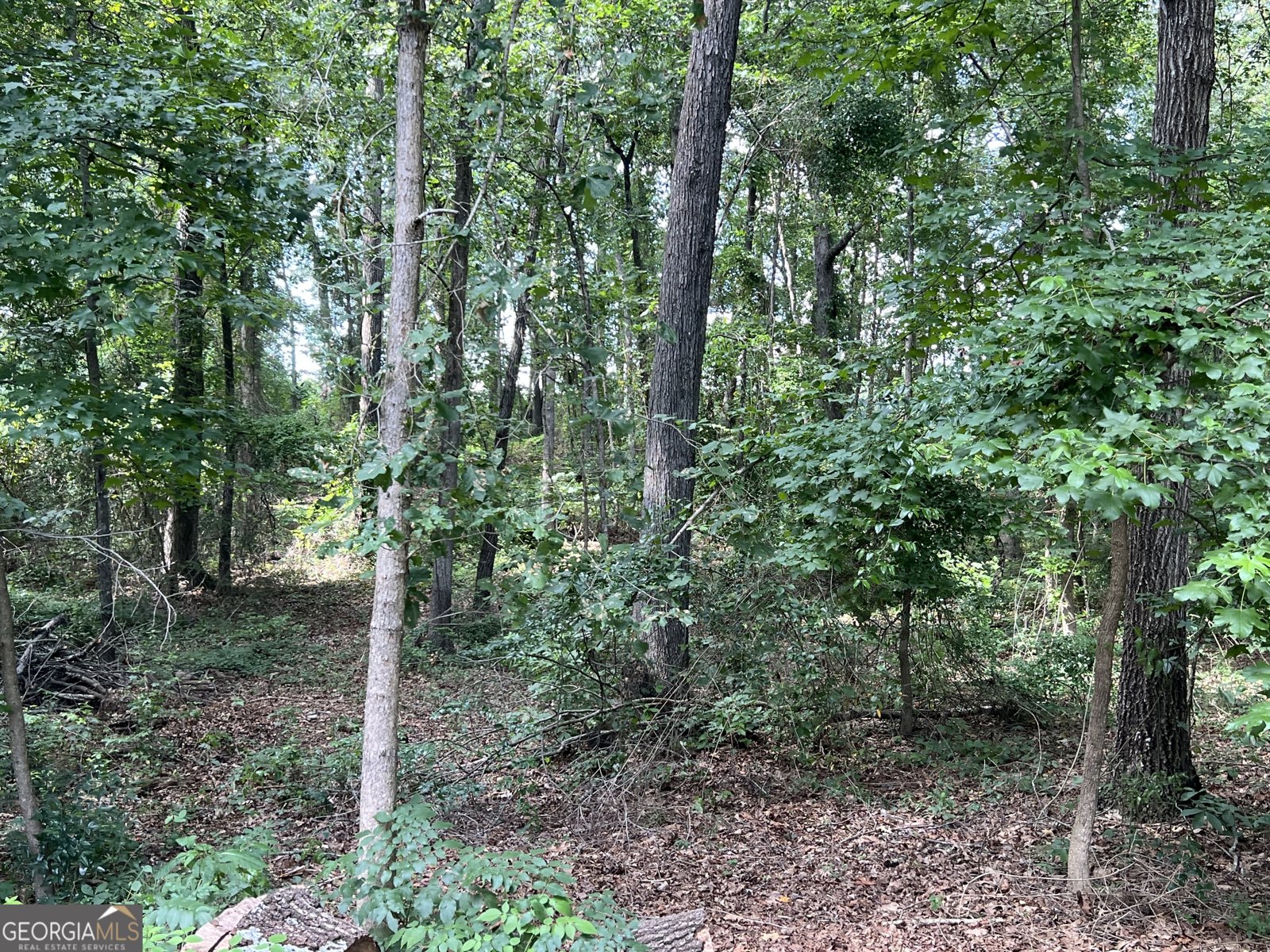 315 PAIGE Way Winder - 35
