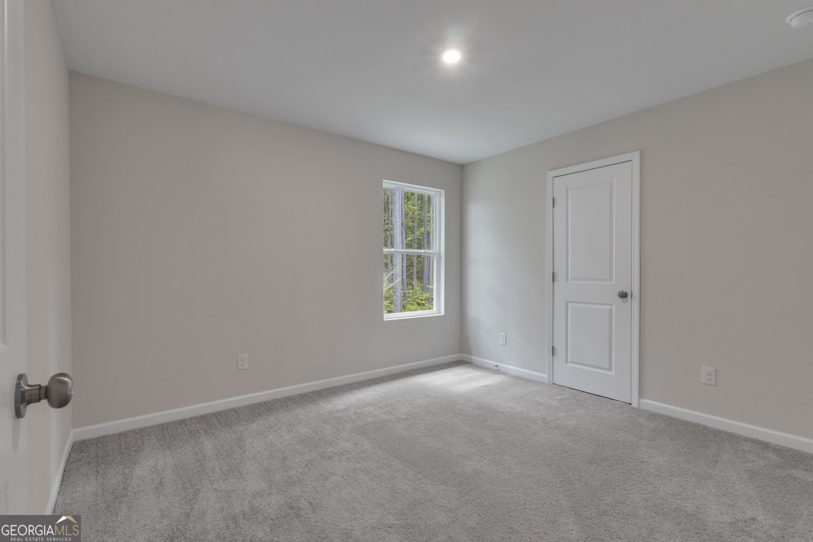 1333 Hunter Welch Parkway Luthersville - 32