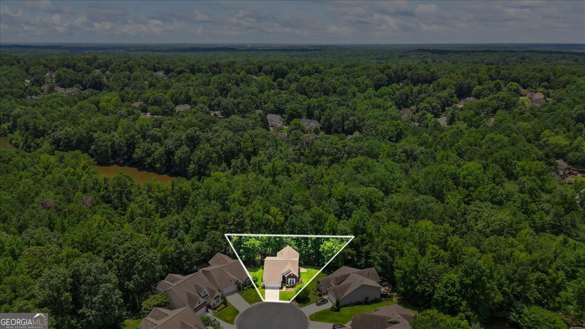 132 Sea Island Drive Peachtree City - 50