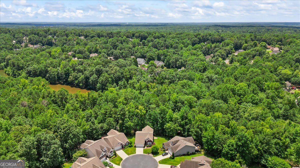 132 Sea Island Drive Peachtree City - 51
