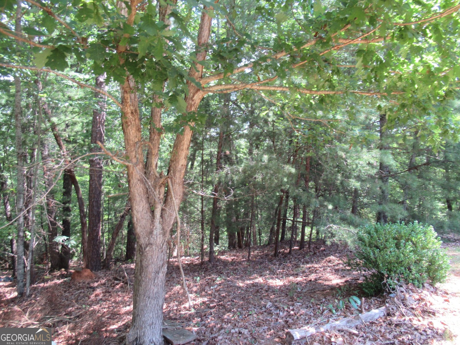13 Hallmark Place Dahlonega - 12