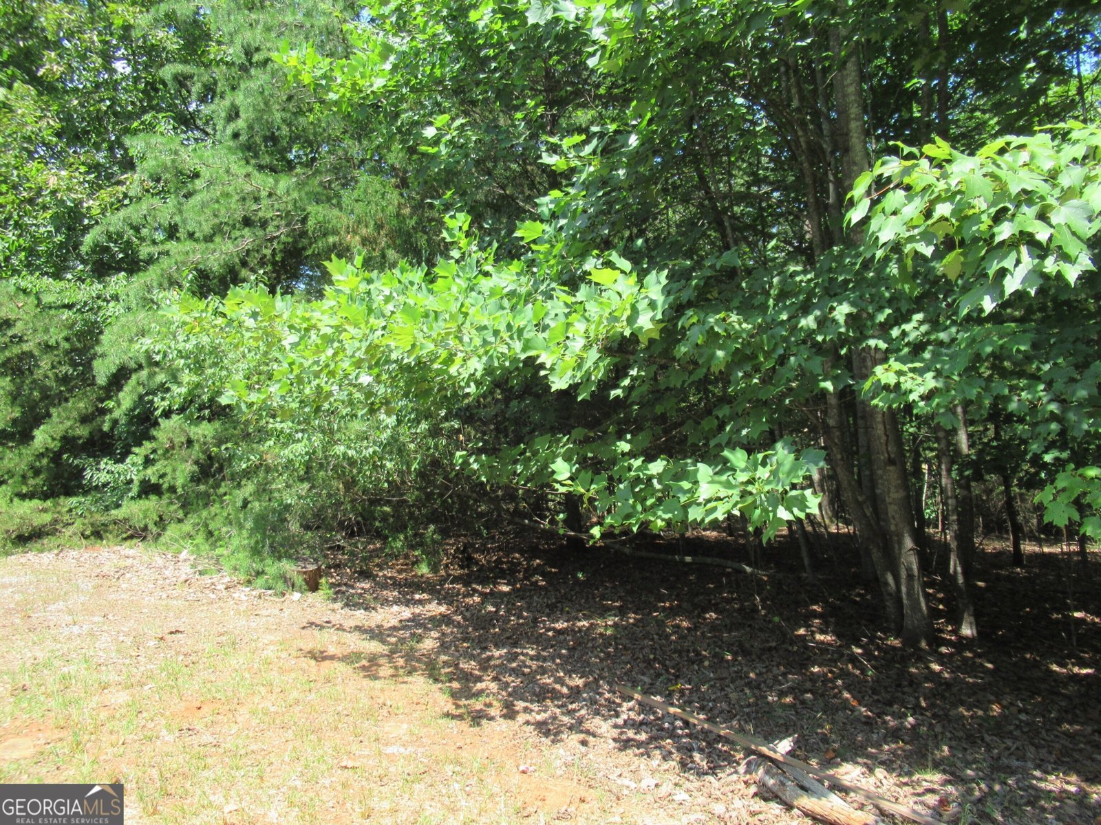 13 Hallmark Place Dahlonega - 14