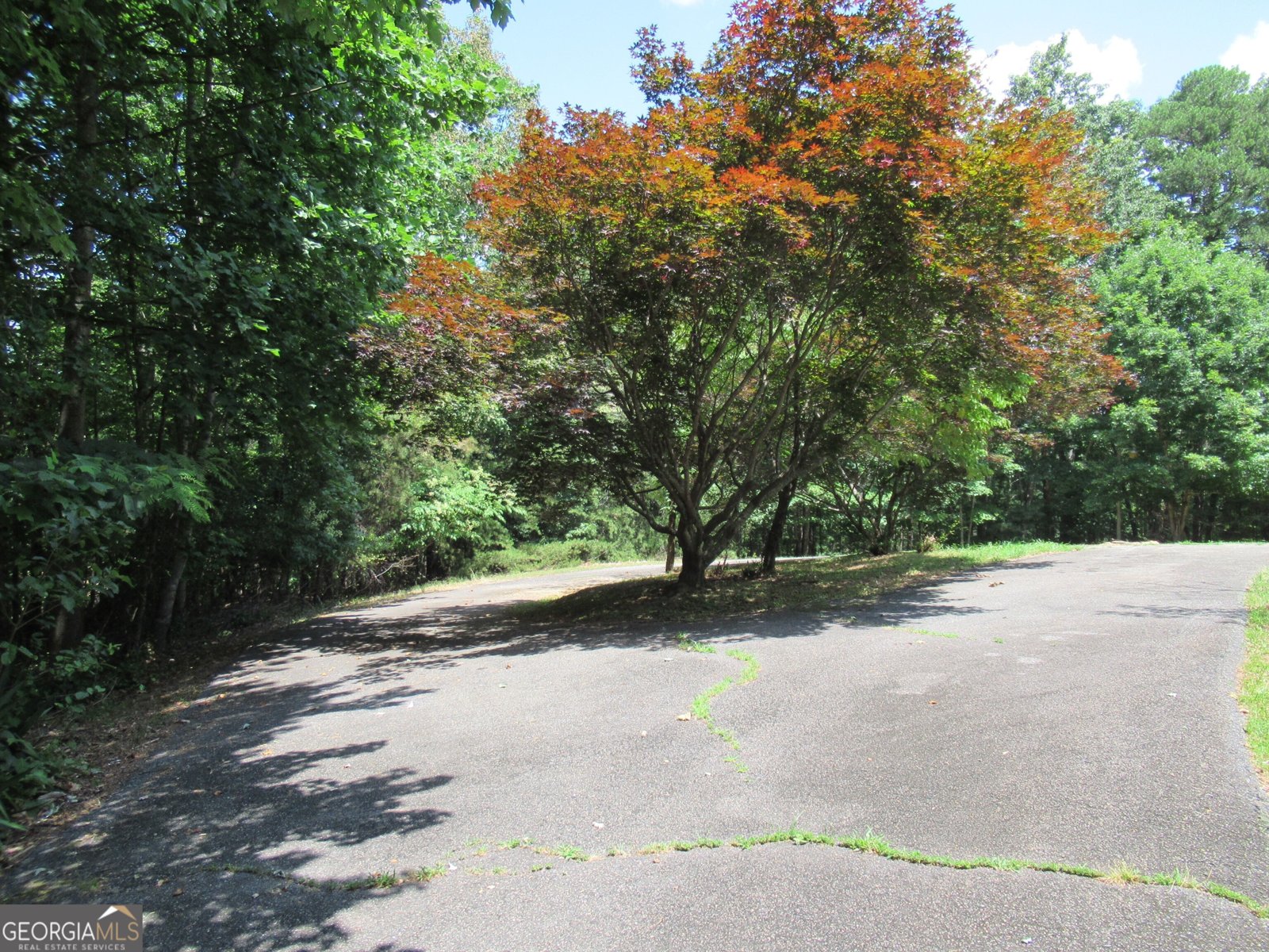 13 Hallmark Place Dahlonega - 19