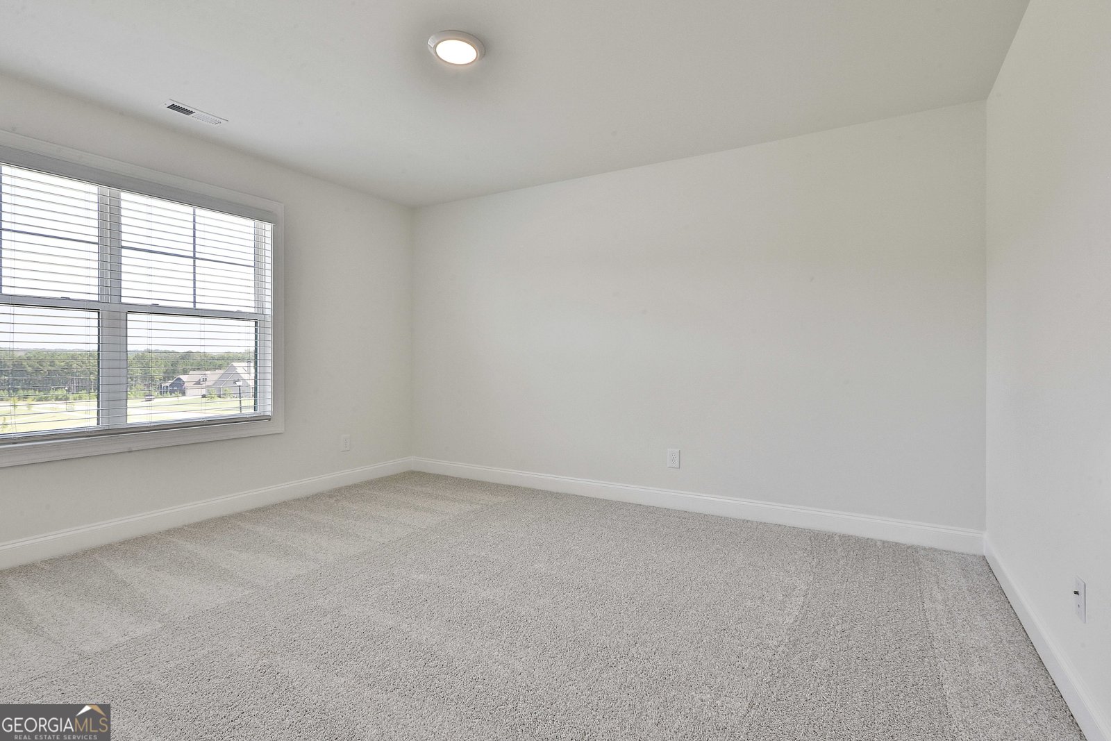 438 Fox Hall Crossing Senoia - 30