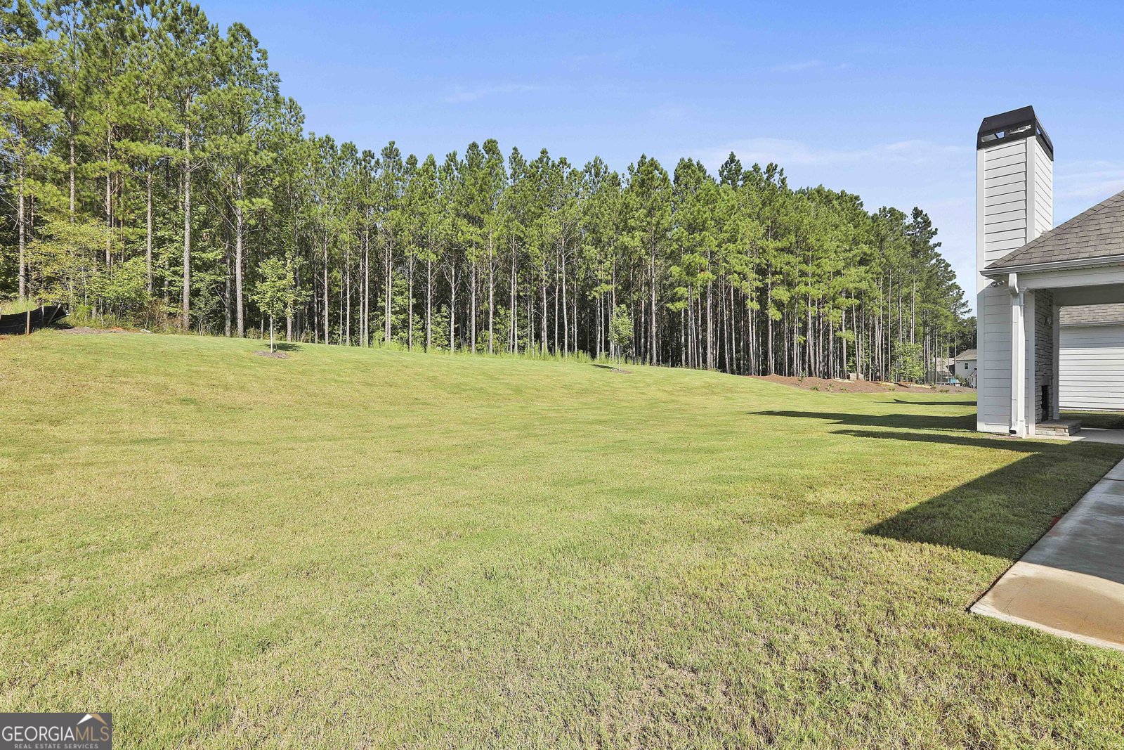438 Fox Hall Crossing Senoia - 35