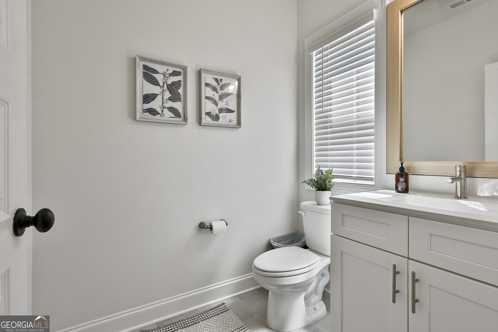 438 Fox Hall Crossing Senoia - 5