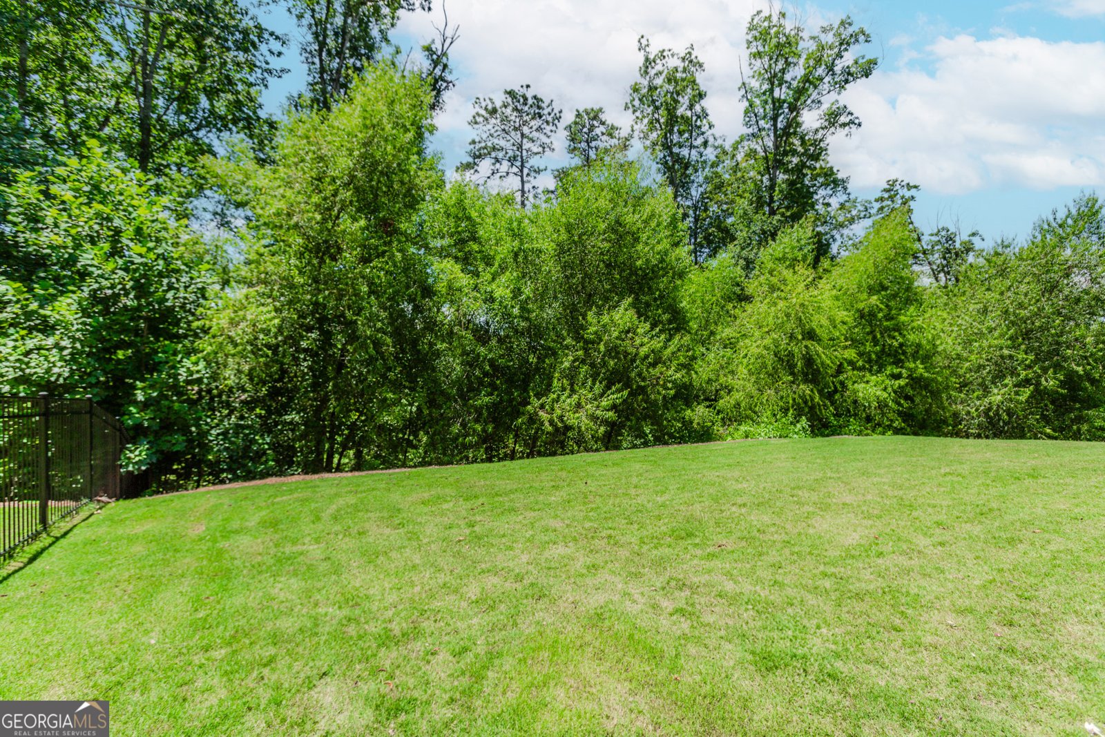 2870 Canter Meadow Drive Cumming - 49