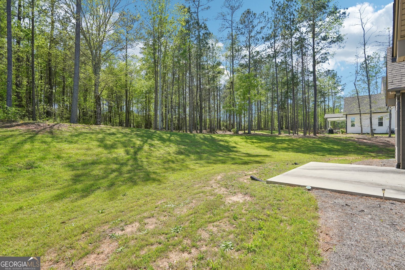 76 Greyfairs Avenue Senoia - 15