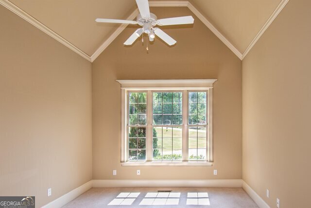 115 Forest Overlook Drive Forsyth - 36