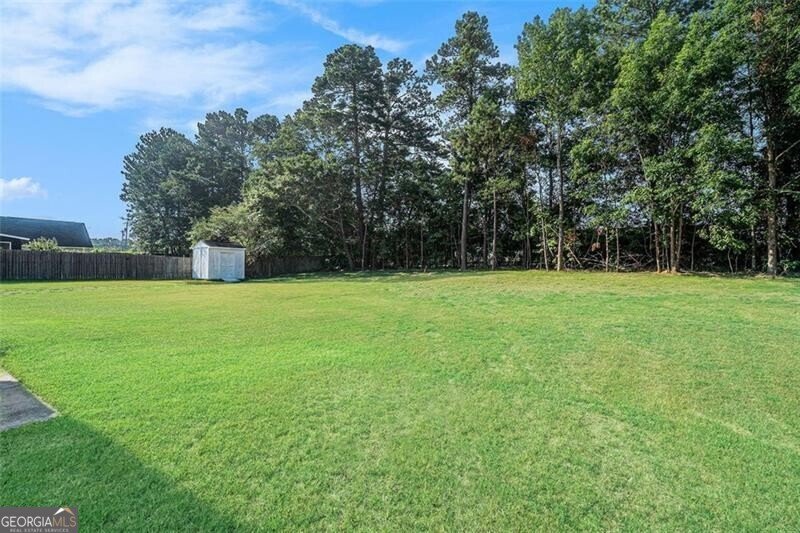 2504 HANNAH HAVEN Drive Conyers - 22