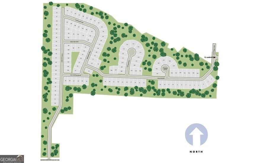 83 Live Oak Lane Dawsonville - 3