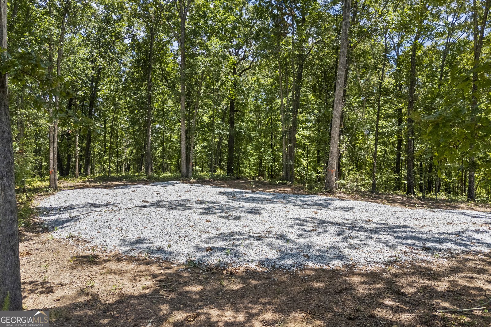 211 Blackthorn Road Colbert - 1