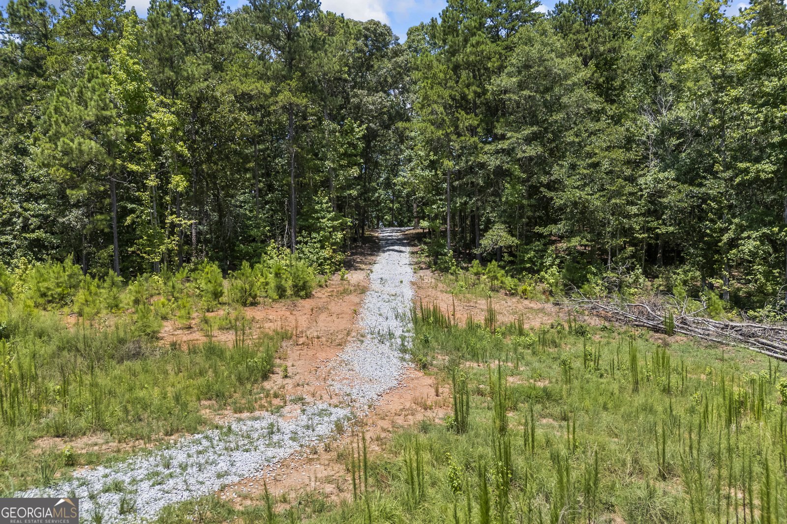 211 Blackthorn Road Colbert - 2