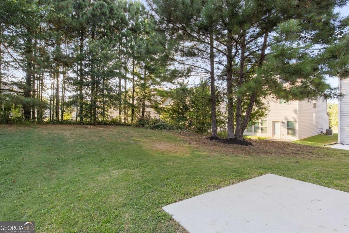 3617 Moon Crest Drive Mcdonough - 19