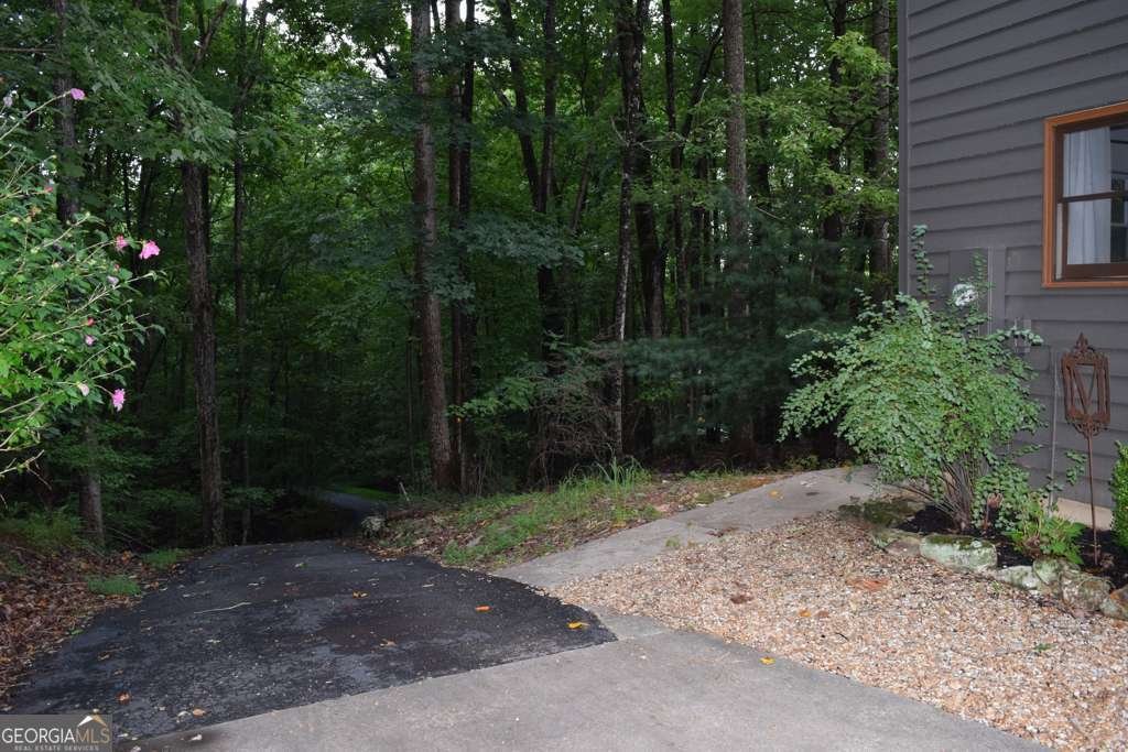 315 Lake Drive Sautee Nacoochee - 24