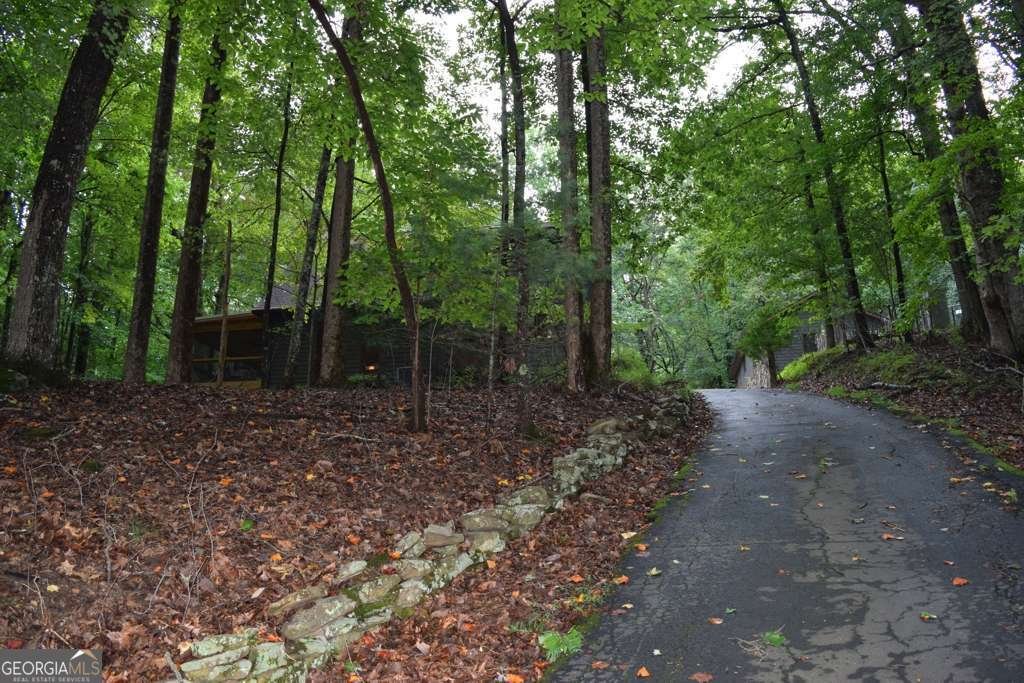 315 Lake Drive Sautee Nacoochee - 25