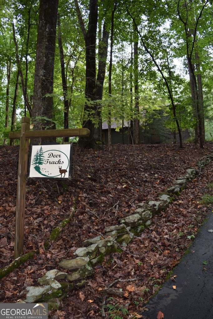 315 Lake Drive Sautee Nacoochee - 26