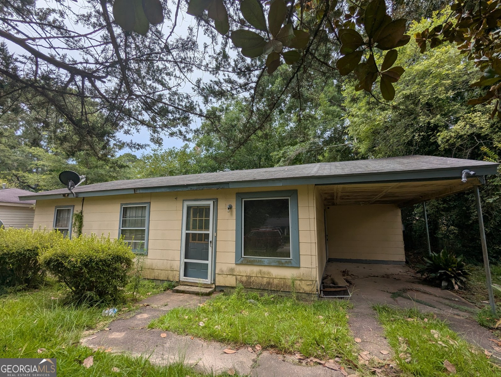 512 Louis Avenue Albany - 1